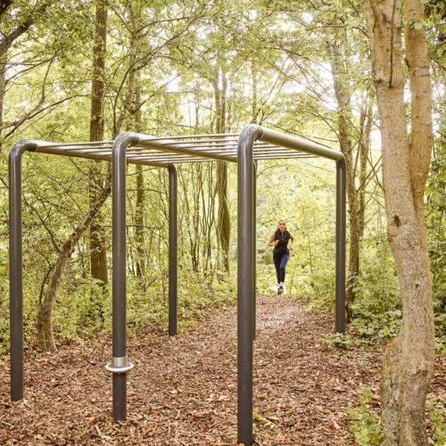 OCR Horizontal Ladder can include running, jumping and hanging
